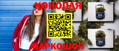 мдпв Ирбит
