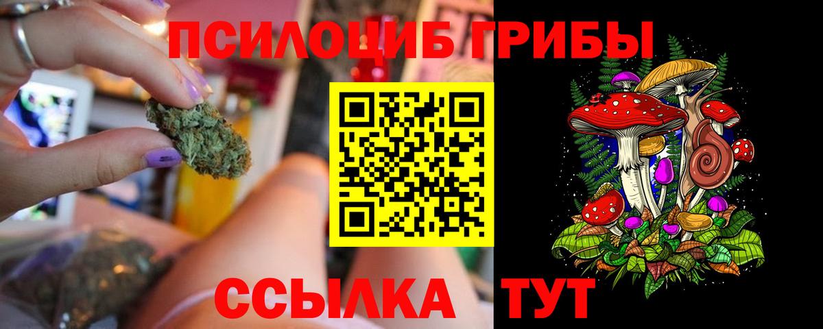 Вышний Волочёк  Псилоцибиновые грибы прущие грибы  Псилоцибиновые грибы Magic Shrooms  Вход с VPN 