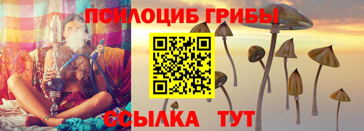 Галлюциногенные грибы Magic Shrooms  Галлюциногенные грибы ЛСД  Вышний Волочёк 